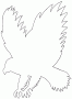 falcon87pl