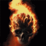 skull74