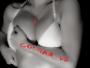 COUGAR_V6