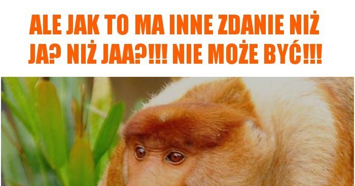 ale-jak-to-ma-inne-zdanie-niz-ja-niz_2018-04-23_14-31-42.jpg.4a435f7efe92c8b374b926569ff57042.jpg