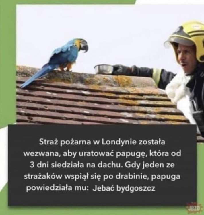 Zrzut ekranu 2022-04-21 o 09.34.18.png