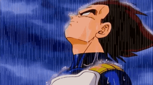 vegeta-under-the-rain.gif.2b58e3d42bb0264f952262ae8b6350fa.gif