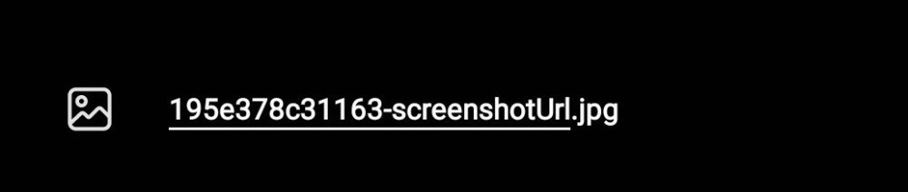 Screenshot_20250430_093303_Gallery.jpg
