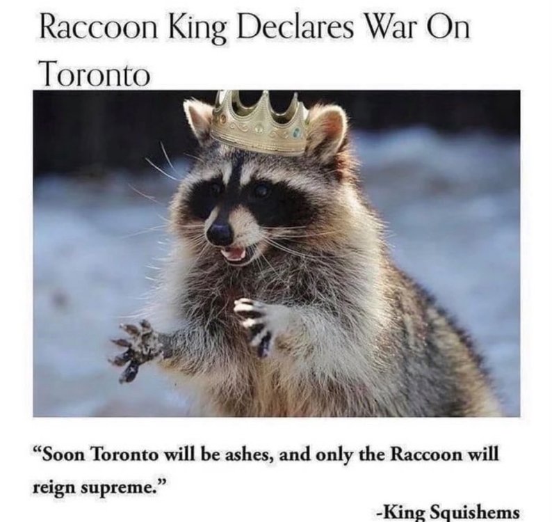 GtSlllgWMAAaATn.jpg