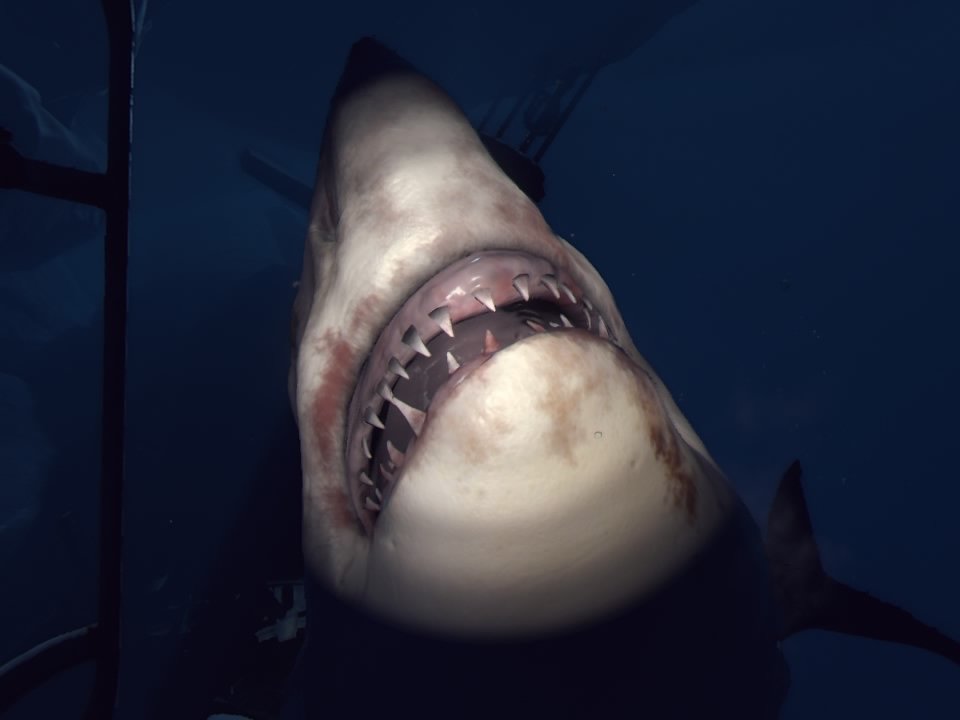 PlayStation® VR WORLDS_20250605235437.jpg