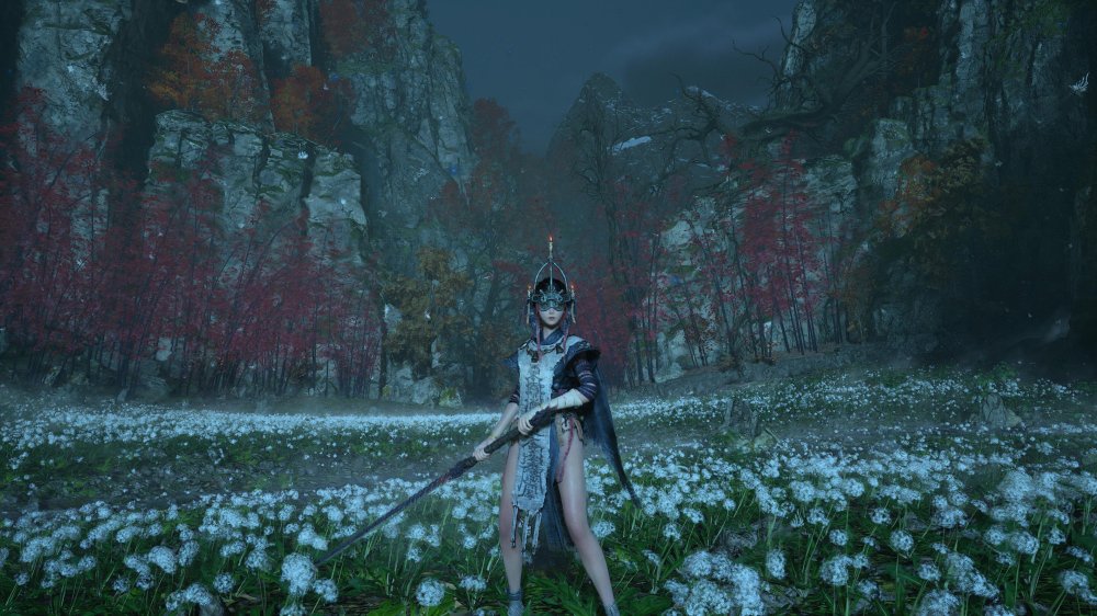 1985160cd6838-screenshotUrl.jpg