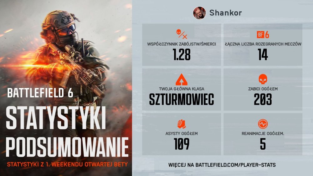 bf6.jpg