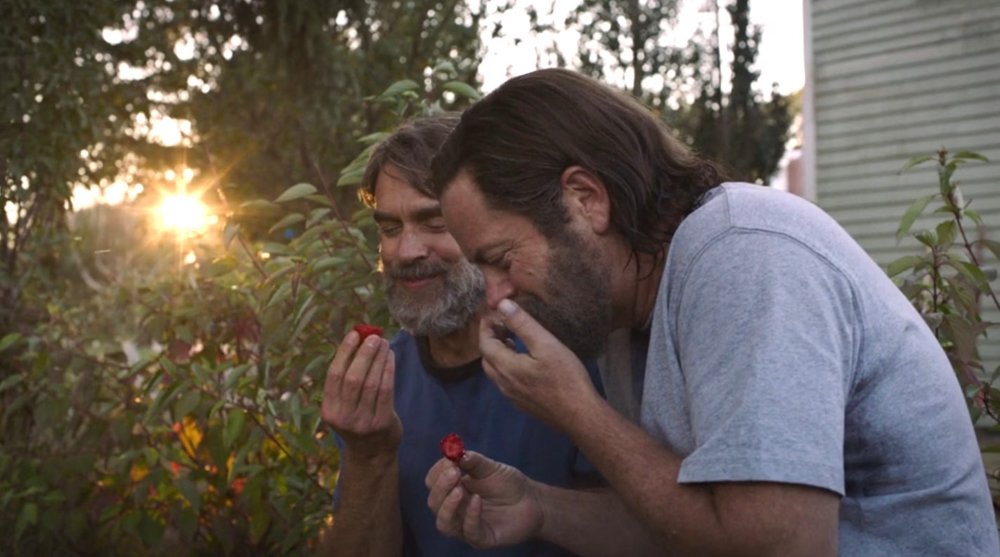 strawberries.jpg