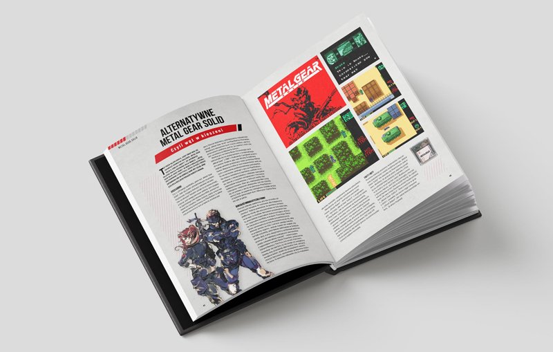 mgs_2.jpg