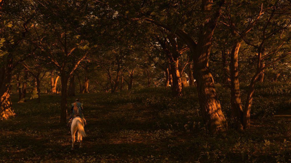 199c473e51944-screenshotUrl.jpg