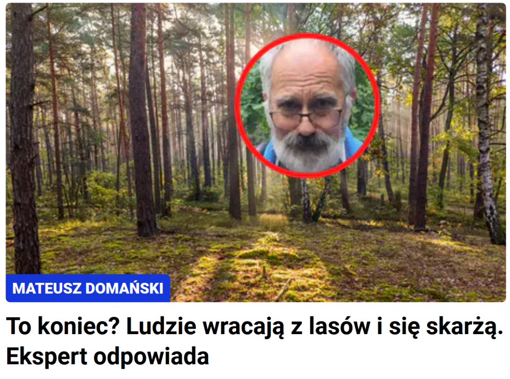 Zrzut ekranu 2025-10-10 192853.png