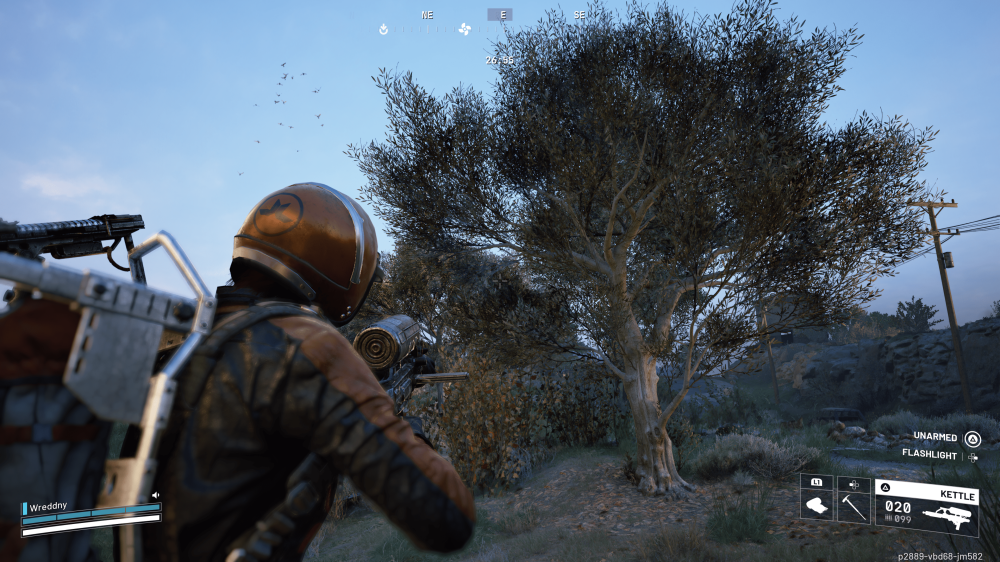 drzewo oliwkowe-min.png