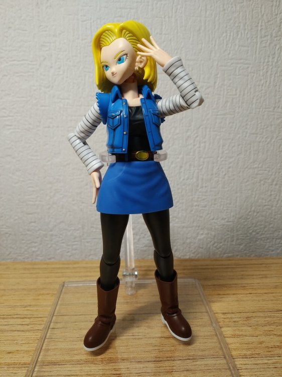 IMG_20251214_203356 — kopia.jpg