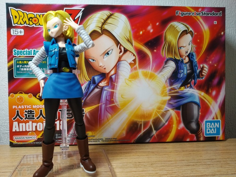 IMG_20251214_203600 — kopia.jpg