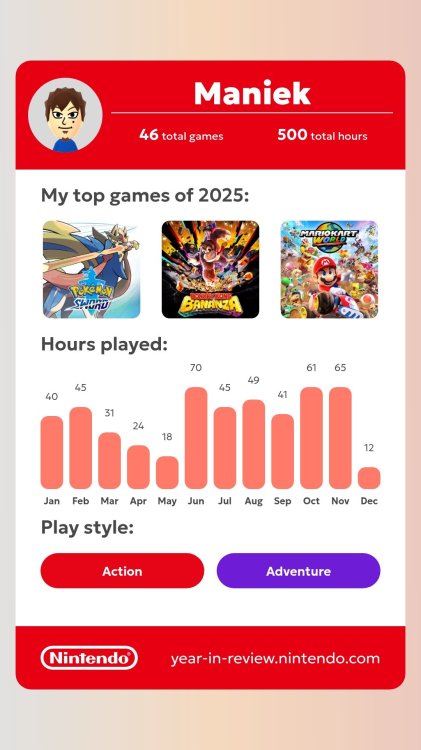 2025 Nintendo Year in Review.jpg
