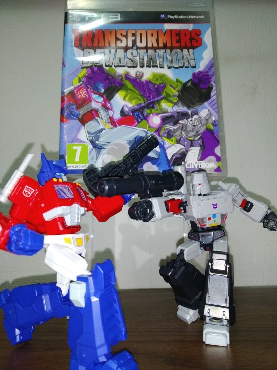 IMG_20260113_174243 — kopia.jpg