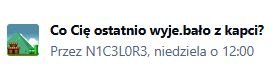 Przechwytywanie.JPG