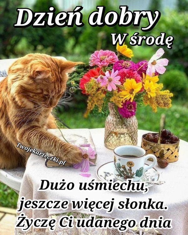 Polish_20220921_001931051.jpg