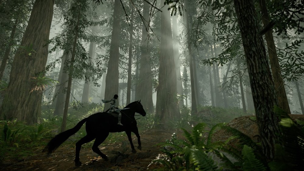 SHADOW OF THE COLOSSUS™_20260607000348.jpg