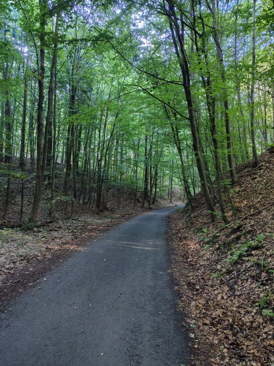 IMG_20260726_073819474_HDR.jpg
