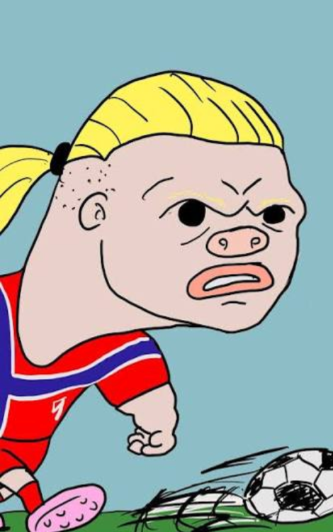 grafik.png