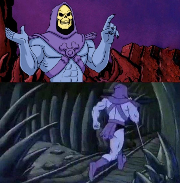 he-man-skeleton-advices-meme-5leqpb(1).jpg