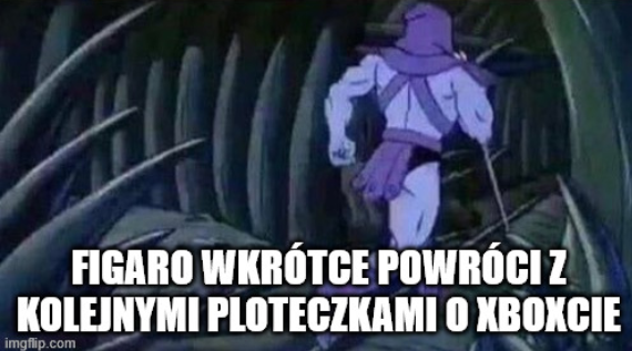 obraz.png