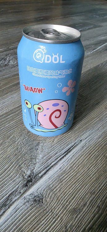 20260808_120352.jpg
