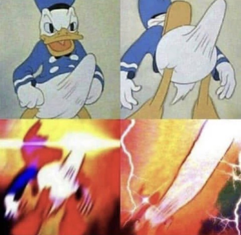 Donald-Duck-erection-meme-7.jpg