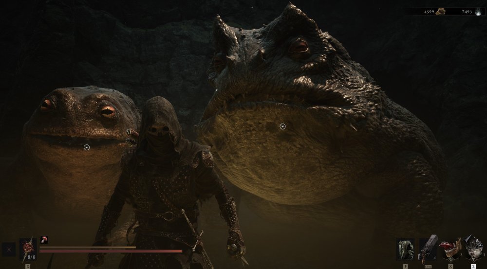 żabce_mortal_shell_2_no2.jpg