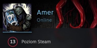 amer - steam.jpg