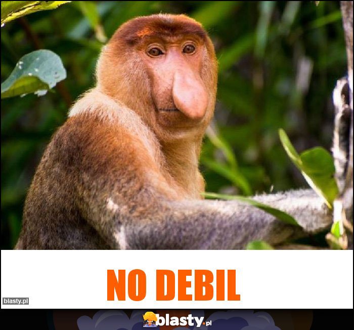 no-debil_2019-12-25_11-57-03.jpg