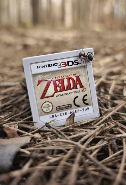 zeldaemtebe.jpg