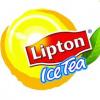 liptonicetea